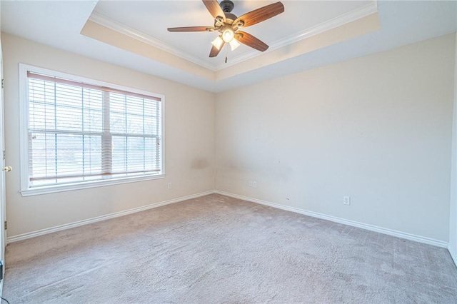 carpeted empty room featuring ornamental molding, ceiling fan, and a raised ceiling