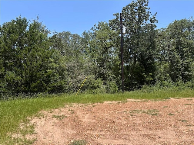 1011 Clay Cir, Somerville, TX 77879