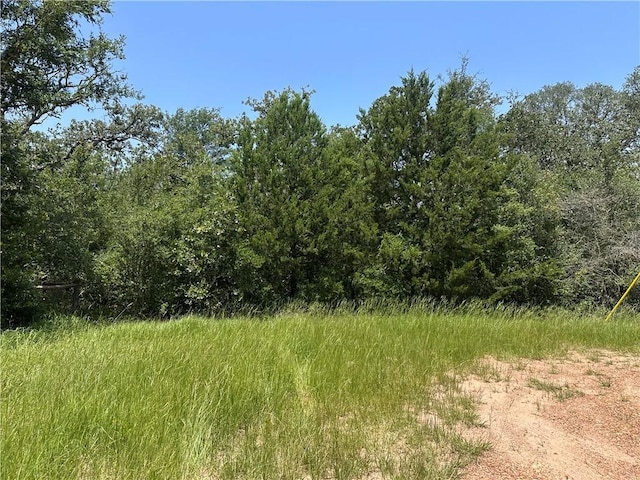 1011 Clay Cir, Somerville, TX 77879