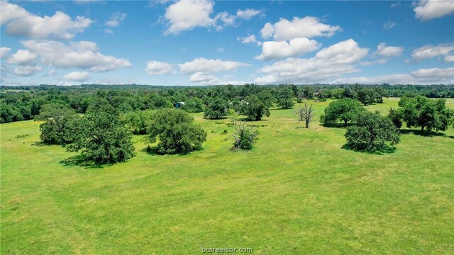 TBD Mitch Mcmillan Rd, Franklin, TX 77856 - photo 8