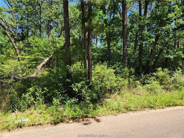 LOT69 Pinebrook Dr, Plantersville TX, 77363 land for sale