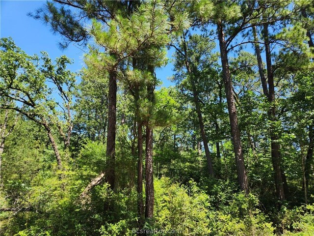 Listing photo 2 for LOT69 Pinebrook Dr, Plantersville TX 77363