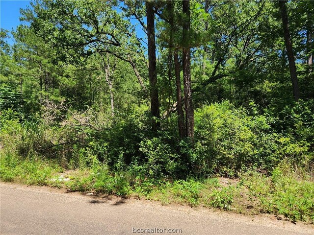 Listing photo 3 for LOT69 Pinebrook Dr, Plantersville TX 77363