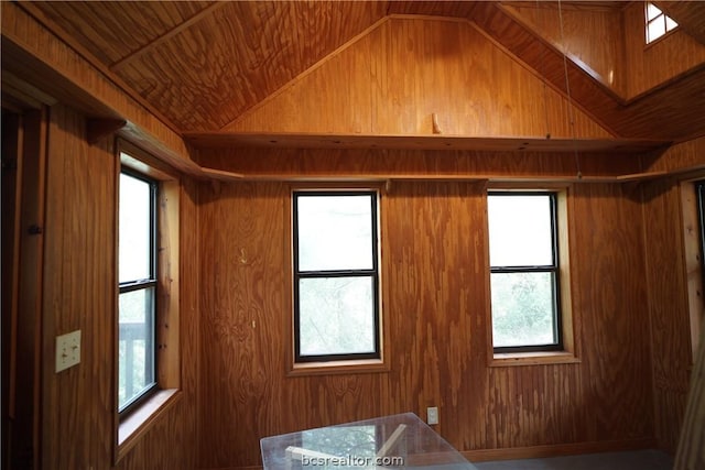 interior space featuring a wealth of natural light and wooden walls