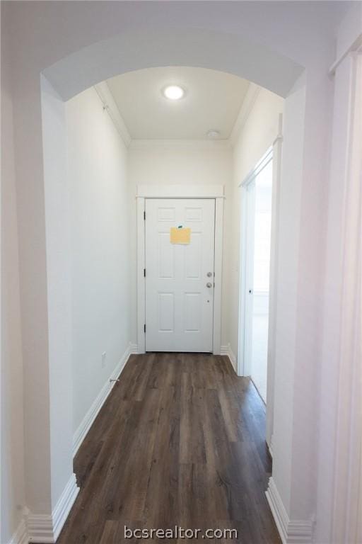 entryway featuring dark wood-type flooring