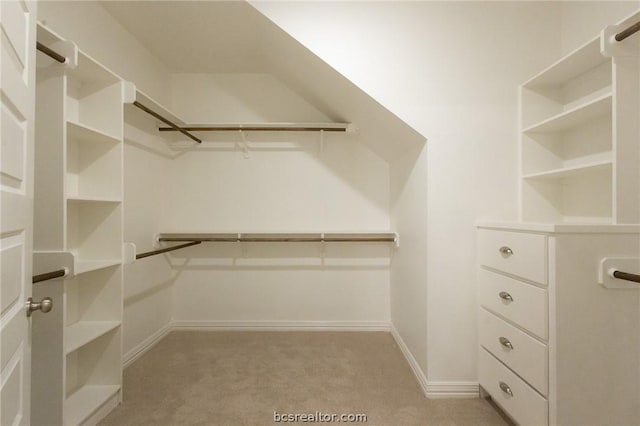 spacious closet with light colored carpet