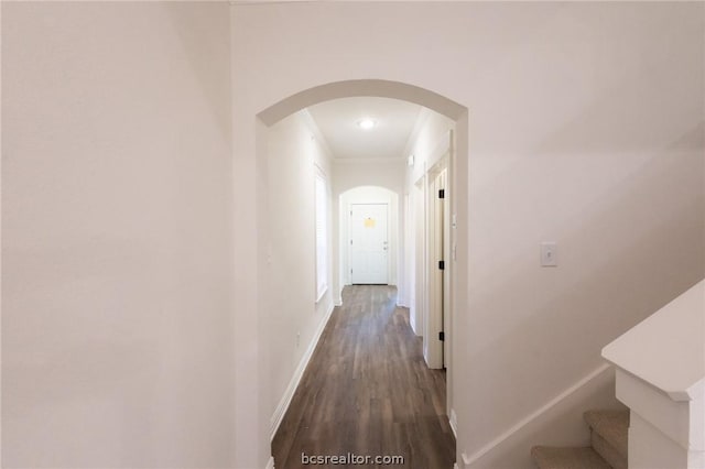 hallway featuring crown molding and dark wood-type flooring