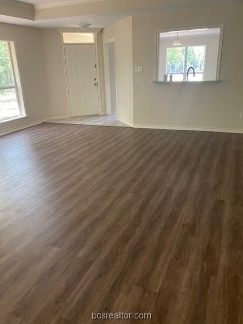 unfurnished living room with dark hardwood / wood-style floors, sink, and a wealth of natural light