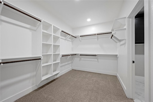 walk in closet featuring light carpet