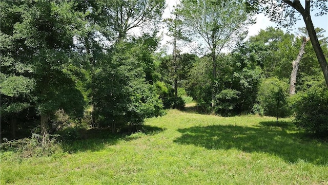 6536 Castenson Rd, Bryan, TX 77808 - photo 5