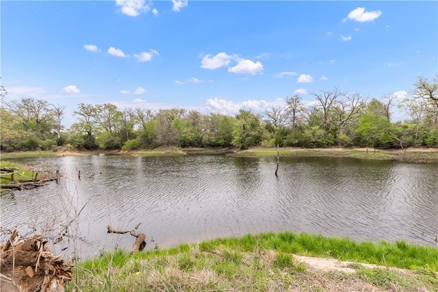 10954 Fm-908, Rockdale, TX 76567