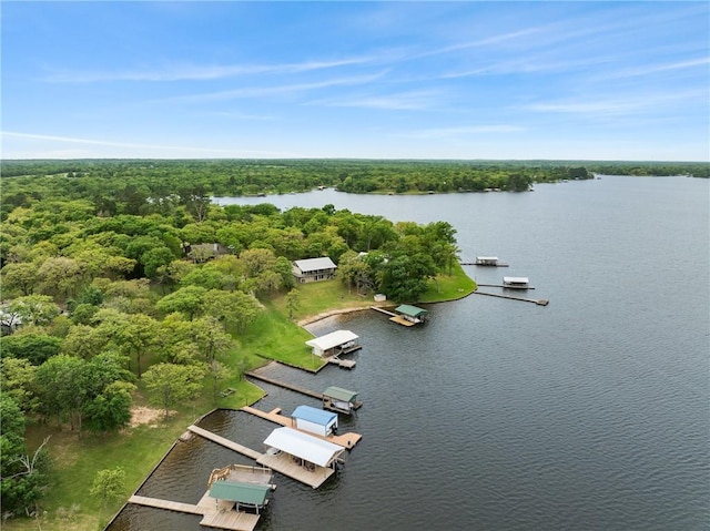 10959 Clyde Acord Rd, Franklin, TX 77856 - photo 35