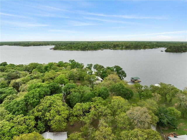 10959 Clyde Acord Rd, Franklin, TX 77856 - photo 31