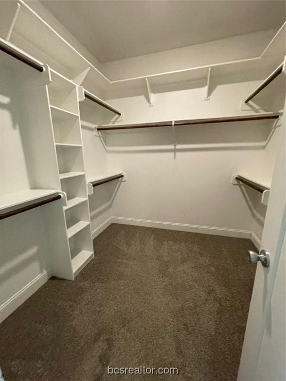 walk in closet with dark carpet