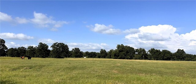 6526 Owensville Cemetery Rd, Franklin, TX 77856 - photo 5