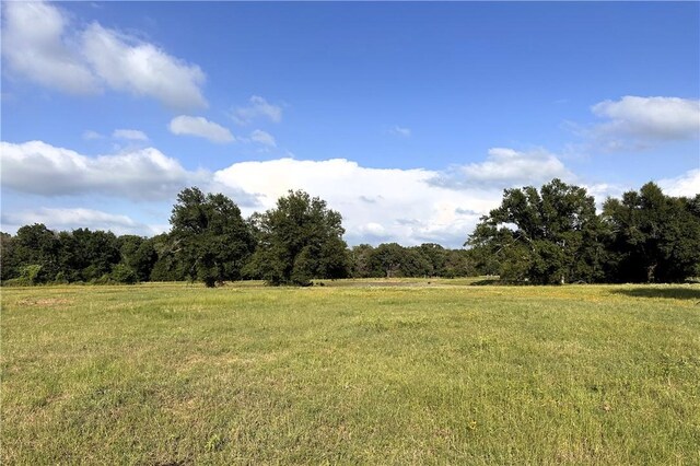 6526 Owensville Cemetery Rd, Franklin, TX 77856 - photo 3