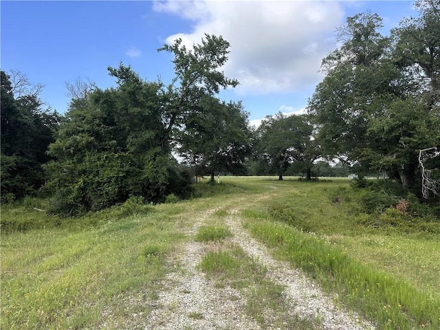 6526 Owensville Cemetery Rd, Franklin, TX 77856 - photo 6
