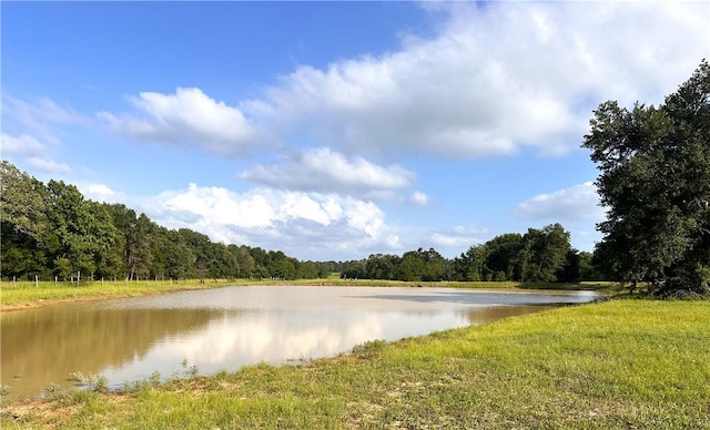 6526 Owensville Cemetery Rd, Franklin, TX 77856 - photo 2