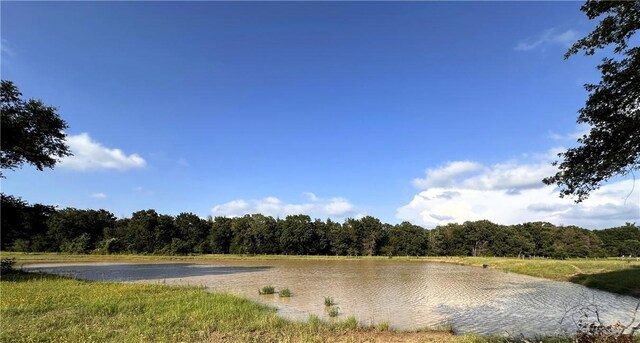 6526 Owensville Cemetery Rd, Franklin, TX 77856 - photo 4