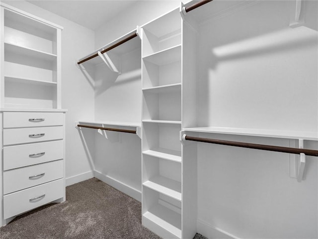 spacious closet with dark colored carpet