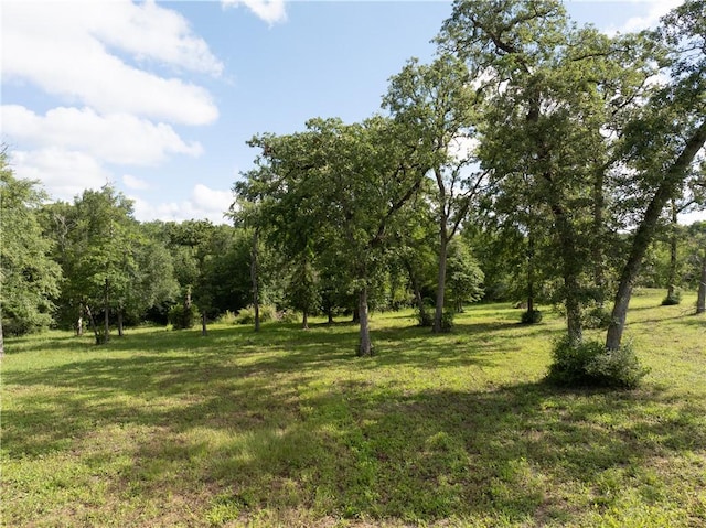 9670 Windsor Ave, Iola TX, 77861 land for sale