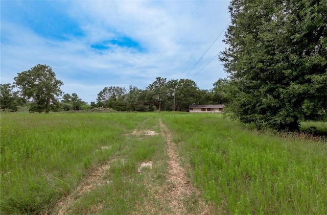 26353 Bedias Dr, Bedias, TX 77831 - photo 9