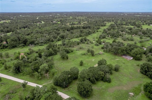 26353 Bedias Dr, Bedias, TX 77831 - photo 13