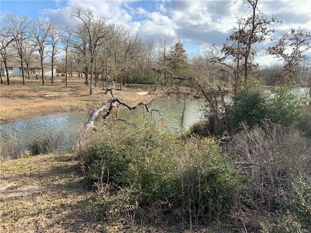 1505 Pin Tail Cv, Caldwell TX, 77836 land for sale