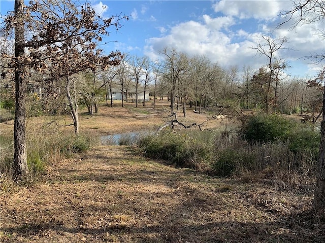 Listing photo 2 for 1505 Pin Tail Cv, Caldwell TX 77836