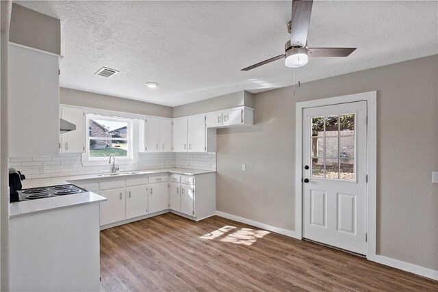 kitchen featuring tasteful backsplash, extractor fan, sink, light hardwood / wood-style flooring, and white cabinets