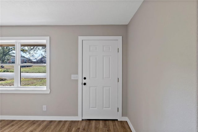 foyer entrance with dark wood-type flooring