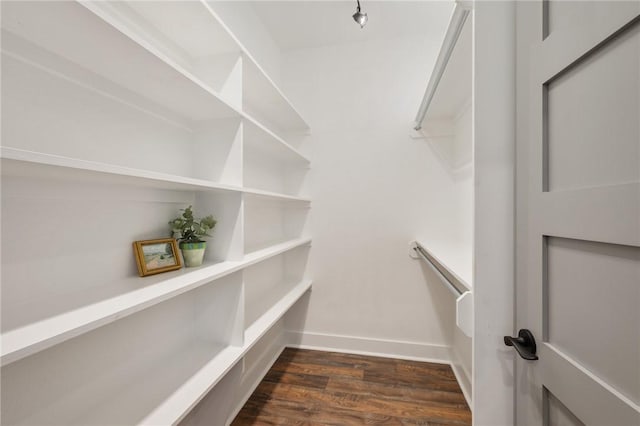 walk in closet with dark wood-style floors