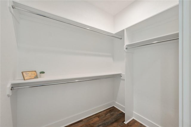 walk in closet with dark wood-style flooring