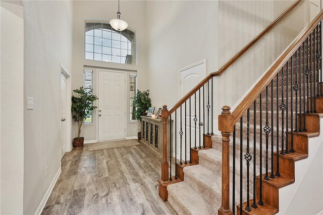 entryway featuring hardwood / wood-style floors and a high ceiling