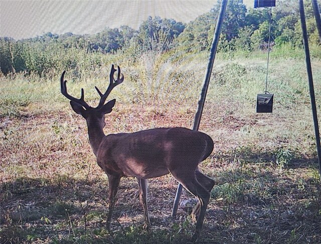 TBD Fm 413, Marlin, TX 76661 - photo 13