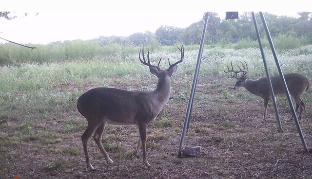 TBD Fm 413, Marlin, TX 76661 - photo 19