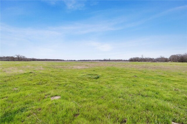 TBD Fm 413, Marlin, TX 76661 - photo 3