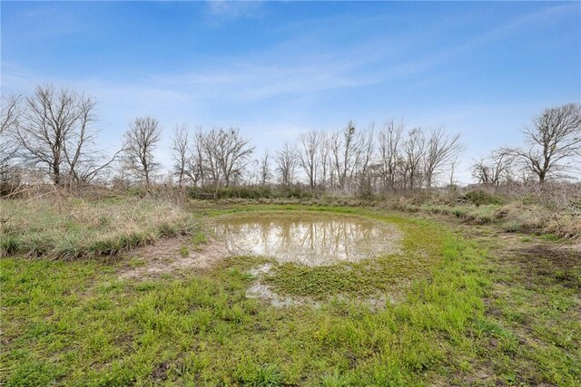 TBD Fm 413, Marlin, TX 76661 - photo 4