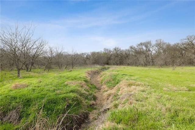 TBD Fm 413, Marlin, TX 76661 - photo 5