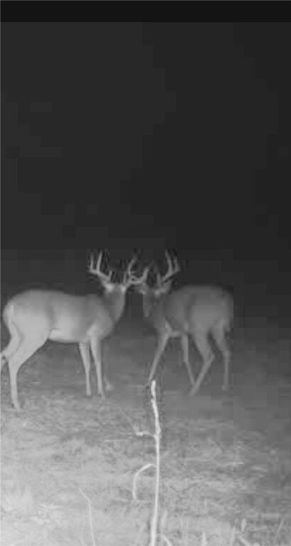 TBD Fm 413, Marlin, TX 76661 - photo 16