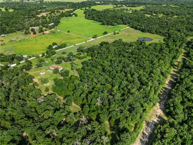 9777 Deer Trail Run, Hearne, TX 77859 - aerial overview of property's location