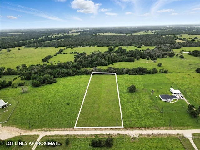 4090 Hidden Trl, North Zulch, TX 77872 - photo 1