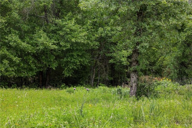 3205 County Road 308, Caldwell, TX 77836 - view of wooded area