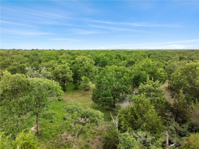 3205 County Road 308, Caldwell, TX 77836 - view of woods