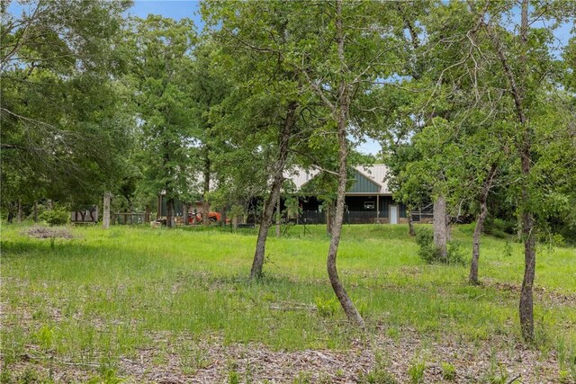 3205 County Road 308, Caldwell, TX 77836 - view of yard