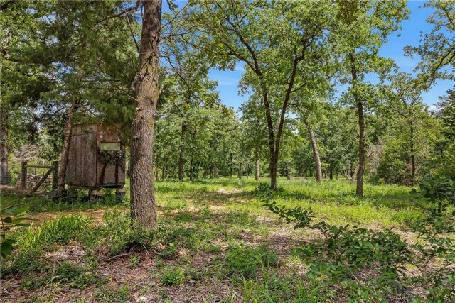 3205 County Road 308, Caldwell, TX 77836 - view of woods