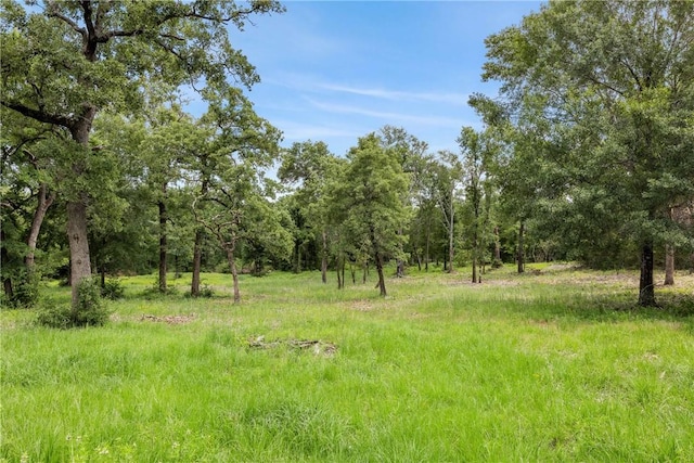 3205 County Road 308, Caldwell, TX 77836 - view of nature