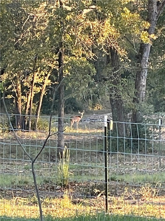 3205 County Road 308, Caldwell, TX 77836 - view of yard with fence