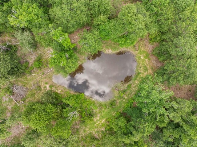 3205 County Road 308, Caldwell, TX 77836 - bird's eye view of a nearby body of water