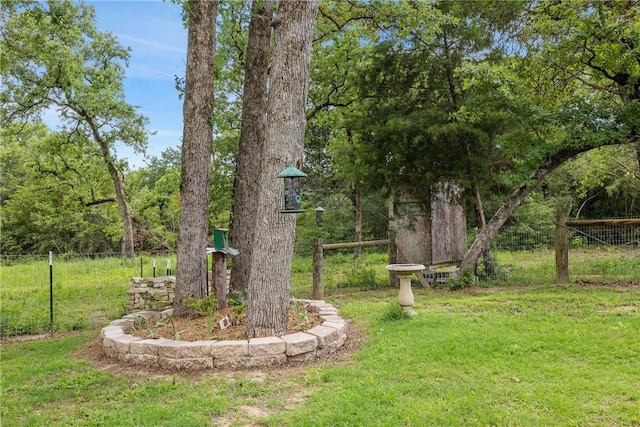 3205 County Road 308, Caldwell, TX 77836 - view of yard